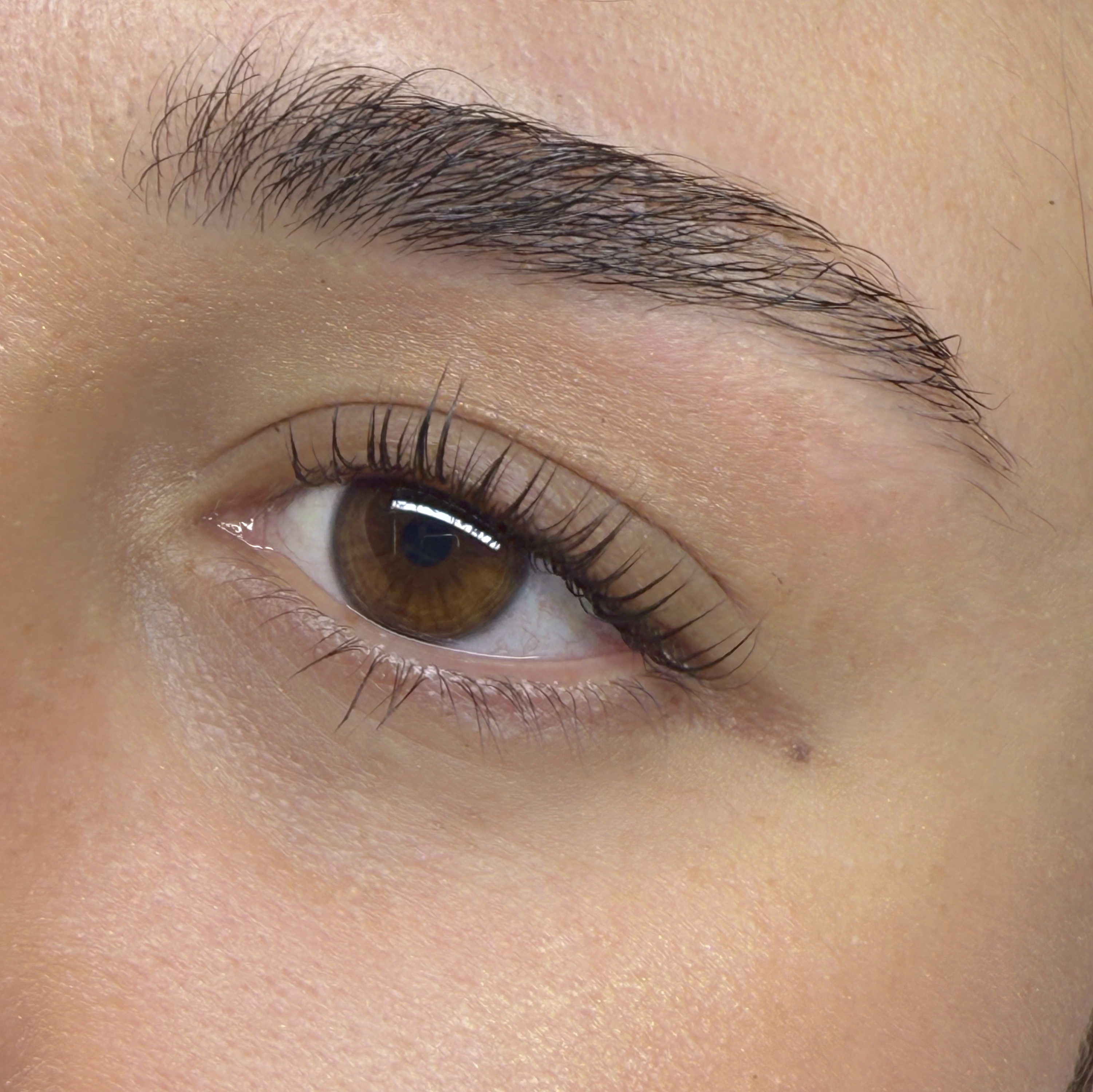 Lash Lift