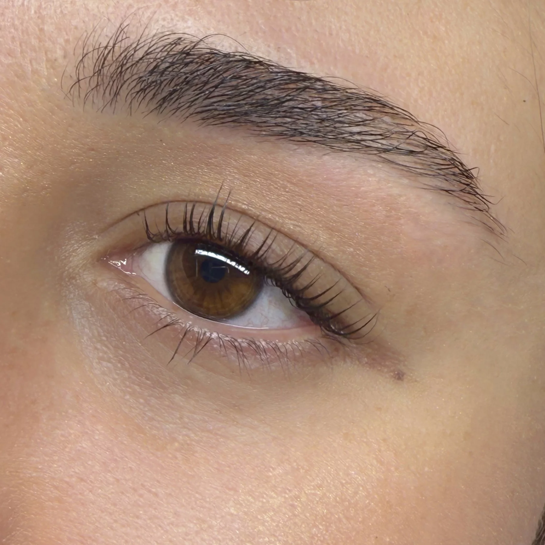 Lash Lift & Teinture Kératine